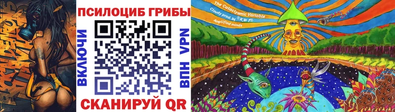 цена   Красково  Псилоцибиновые грибы Cubensis 